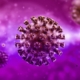 Purple covid-19 image with virus bubbles